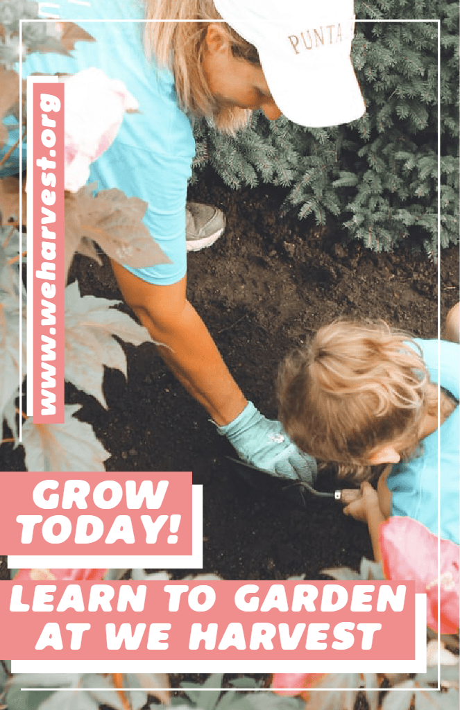 Blossom Today Learn Gardening Poster