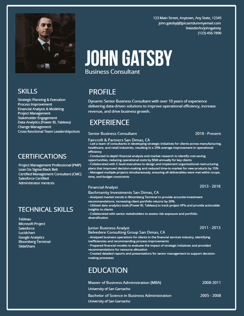 Professional Business Consultant Resume in Blue