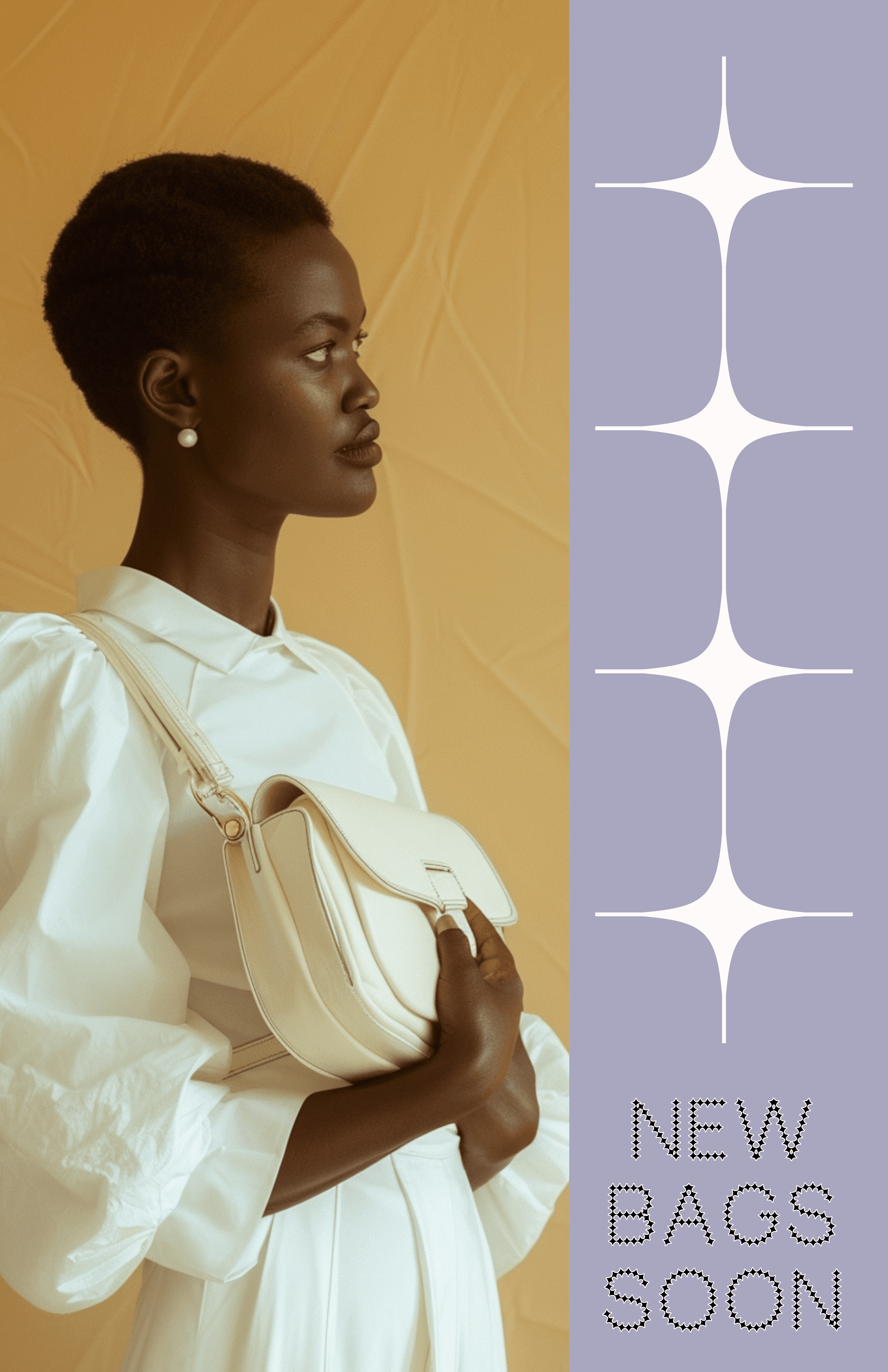 Elegant New Bags Poster in Beige